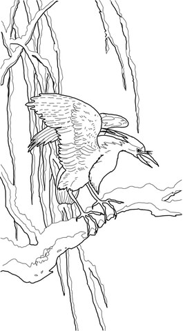 Night Heron By Ohara Koson Coloring Page